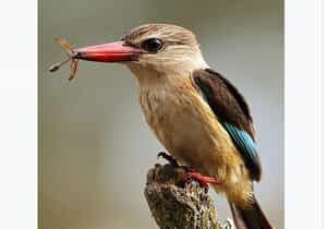 Up Close with Nature!