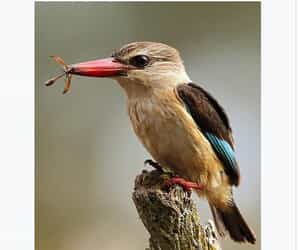 Up Close with Nature!