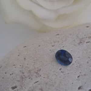 WhatsApp_Image_2025_08_28_at_10.51.06_1_1756371374