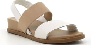 539158248_1329643289161888_4080945556778955369_n_1756458012