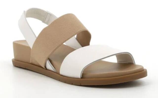 539158248_1329643289161888_4080945556778955369_n_1756458012