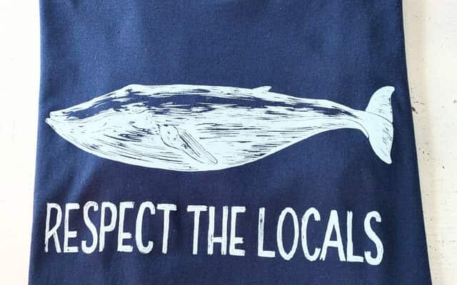 539575486_1360271842769650_1580121278191061252_n_1756458419