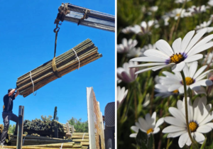 Poles and Products for Your Spring Projects