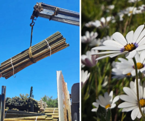 Poles and Products for Your Spring Projects