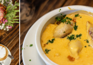 Experience Stanford in Bloom at Casa Cello!