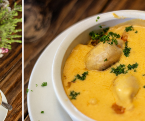 Experience Stanford in Bloom at Casa Cello!