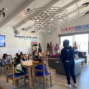 More Than Just a Sanctuary - A Conservation Model