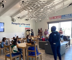 More Than Just a Sanctuary - A Conservation Model