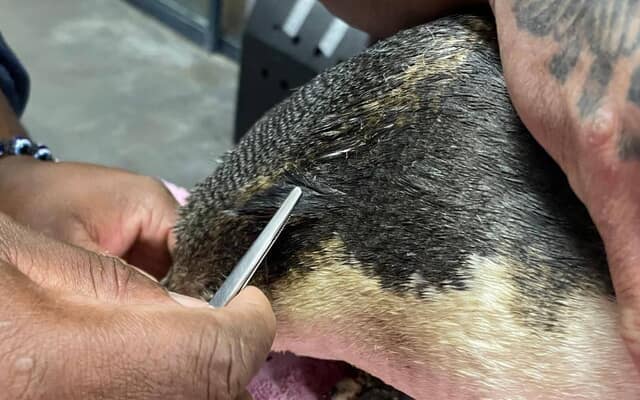 541445385_1204969578330814_5304907278616766254_n_1756807261 541445385_1204969578330814_5304907278616766254_n_1756807261