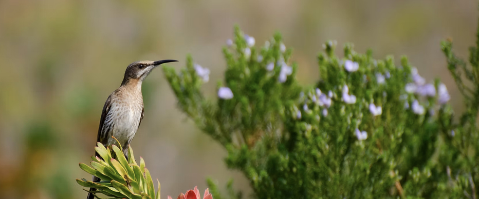 featured_image_template_copy_1756978493