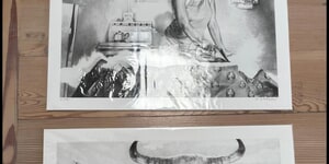 540388486_10165934544912519_6279864027405069624_n_1756993810