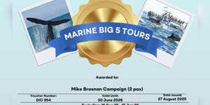 541061903_10165934544667519_4570707484788193412_n_1756993813