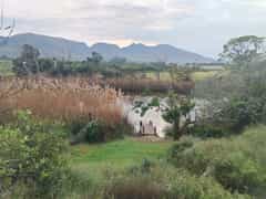 To Celebrate the Full Floral Feeling