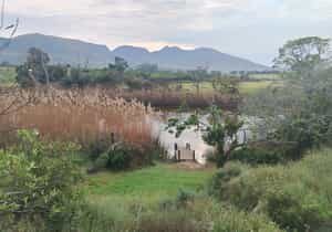 To Celebrate the Full Floral Feeling