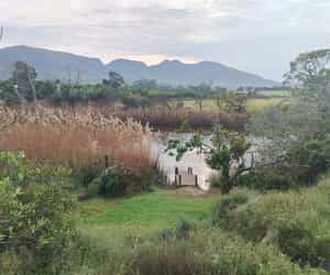 To Celebrate the Full Floral Feeling