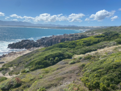 Newsletter: 31 August, 2025