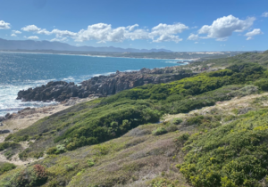 Newsletter: 31 August, 2025