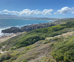 Newsletter: 31 August, 2025