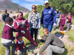 Arbour Week in the Overstrand