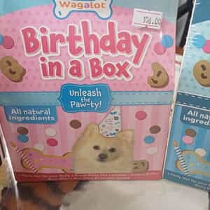 WhatsApp_Image_2025_09_11_at_16.54.06_1757658498