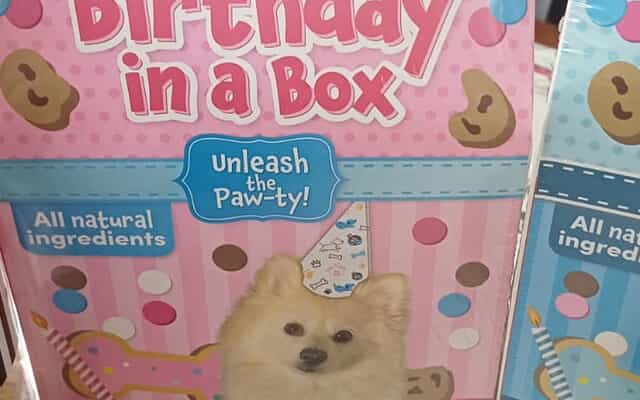 WhatsApp_Image_2025_09_11_at_16.54.06_1757658498