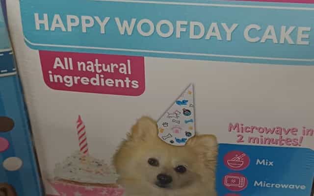 WhatsApp_Image_2025_09_11_at_16.54.06_1_1757658499