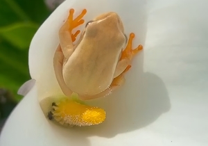 Our Parting Shot of the Week!