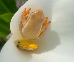 Our Parting Shot of the Week!