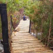 Strong 1.2m Pine Droppers for Durable Projects