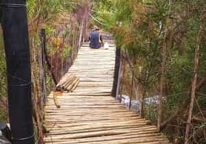 Strong 1.2m Pine Droppers for Durable Projects