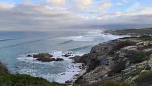 Another Happy Guest at Amazing Grace B&B!