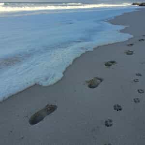 WhatsApp_Image_2025_09_16_at_10.28.22_1_1758012786