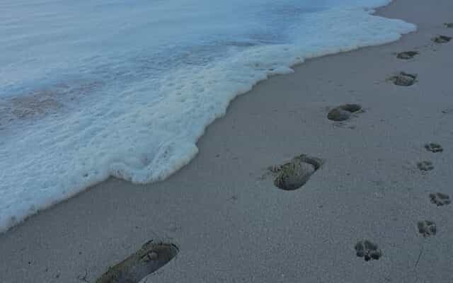 WhatsApp_Image_2025_09_16_at_10.28.22_1_1758012786