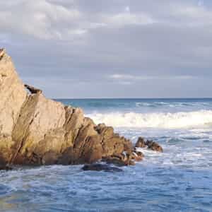 WhatsApp_Image_2025_09_16_at_10.28.23_1758012787