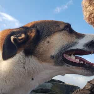 WhatsApp_Image_2025_09_16_at_10.28.23_1_1758012788