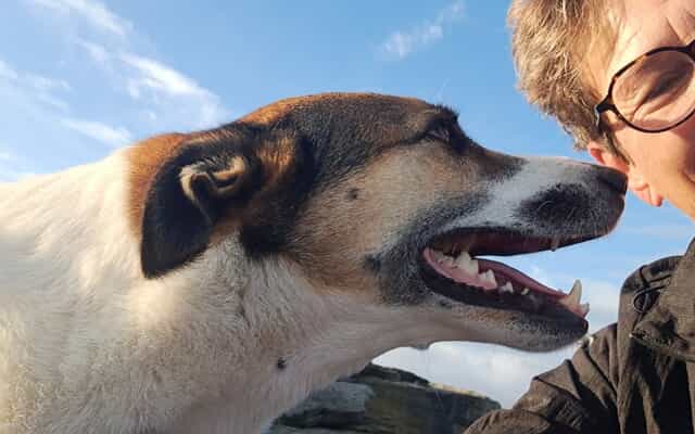 WhatsApp_Image_2025_09_16_at_10.28.23_1_1758012788