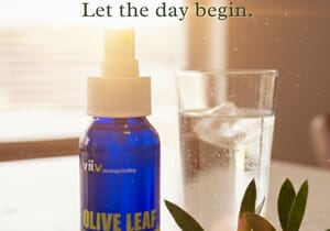 Olive Leaf: Your Natural Immune Shield