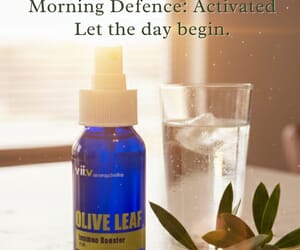 Olive Leaf: Your Natural Immune Shield