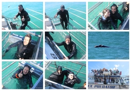 Daily Blog: 14 September 2025 | Shark Cage Diving in South Africa