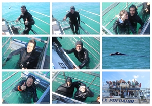 Daily Blog: 14 September 2025 | Shark Cage Diving in South Africa