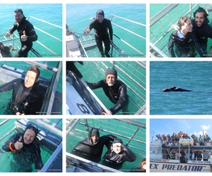 Daily Blog: 14 September 2025 | Shark Cage Diving in South Africa