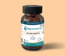 New at Fynbos Enterprises: Anti Viral Echina Plus