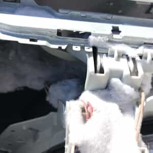 WhatsApp_Image_2025_09_25_at_07.58.55_1_1758780487