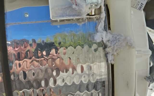 WhatsApp_Image_2025_09_25_at_07.58.57_2_1758780490