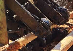 Turning Alien Pines into Quality Poles