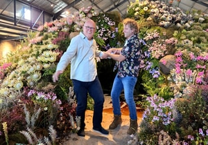 And That’s a Wrap!