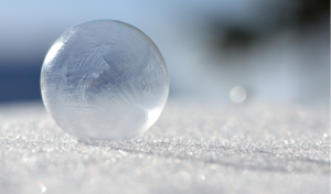 A Grocery Store and Adulthood