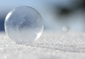 A Grocery Store and Adulthood