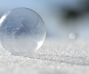 A Grocery Store and Adulthood