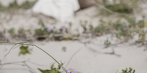 MonetteGroblerPhotography_9134_1759307513